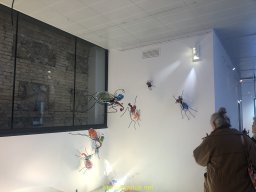 Exposición de Flyppy 2023